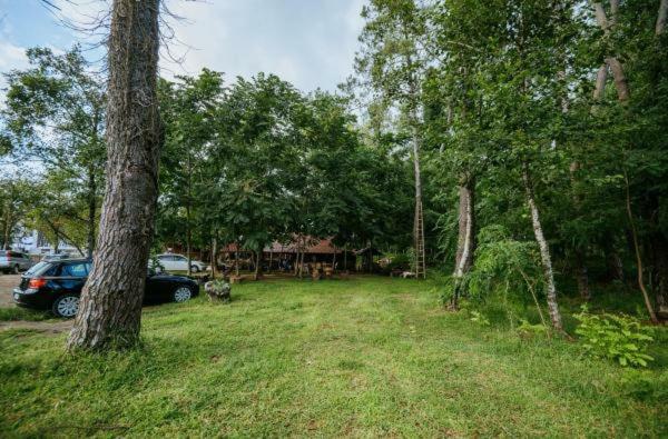 Shekhvetili Cottages 2N Kültér fotó